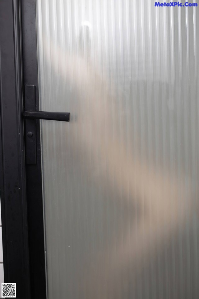 A close up of a glass door with a handle.